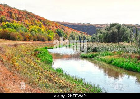 Little River Valley. Fluss umgeben von Hügeln Stockfoto