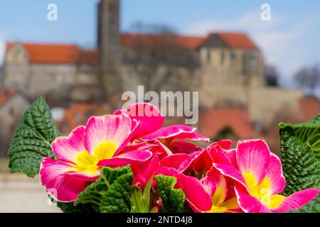 Blick auf die Burg Quedlinburg im Frühling Stockfoto