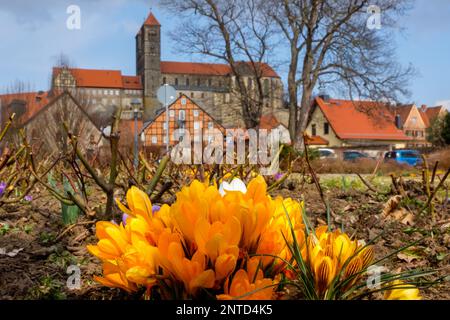 Blick auf die Burg Quedlinburg im Frühling Stockfoto