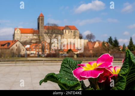 Blick auf die Burg Quedlinburg im Frühling Stockfoto