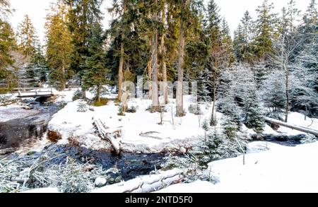 Harz-Nationalpark im Winter Oderteich Stockfoto