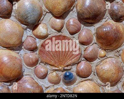 ALBUFEIRA, Algarve/Portugal - MÄRZ 10: Gebäude mit Muscheln in Albufeira Portugal am 10. März 2018 eingerichtet Stockfoto