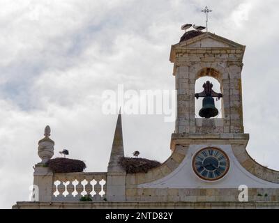 FARO, SÜDLICHE ALGARVE/PORTUGAL - MÄRZ 7 : Storche in Faro in Portugal am 7. März 2018 Stockfoto