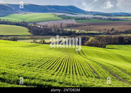 NAHE SEAFORD, SUSSEX/UK - APRIL 5 : Blick auf Farmland nahe Seaford in Sussex am 5. April 2018 Stockfoto