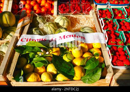 Markt, Zitronen aus Menton, Provence, Frankreich Stockfoto