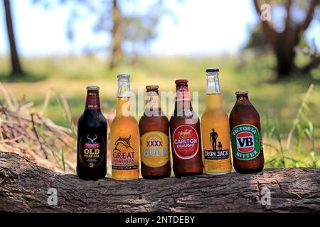 Australische Bierflaschen, sechs verschiedene Biermarken, Tooheys Old Dark Ale, Great Northern Brewing Co, XXXX Gold, Carlton Draught, Iron Jack, VB Stockfoto