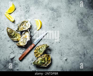 Frische Austern auf Eis, Messer, Zitronensplitter. Rustikaler Steinhintergrund. Offene frische rohe Austern. Draufsicht. Speicherplatz kopieren. Austernbar. Meeresfrüchte. Austern Stockfoto