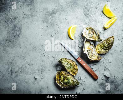 Frische Austern auf Eis, Messer, Zitronensplitter. Rustikaler Steinhintergrund. Offene frische rohe Austern. Draufsicht. Speicherplatz kopieren. Austernbar. Meeresfrüchte. Austern Stockfoto