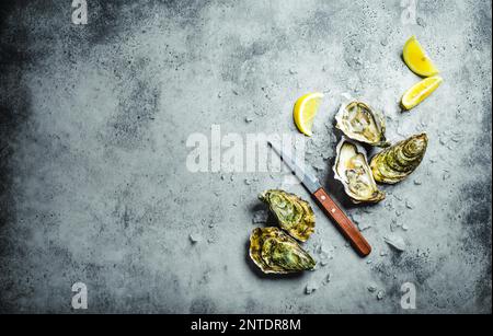 Frische Austern auf Eis, Messer, Zitronensplitter. Rustikaler Steinhintergrund. Offene frische rohe Austern. Draufsicht. Speicherplatz kopieren. Austernbar. Meeresfrüchte. Austern Stockfoto