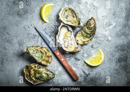 Frische Austern auf Eis, Messer, Zitronensplitter. Rustikaler Steinhintergrund. Offene frische rohe Austern. Draufsicht. Nahaufnahme. Austernbar. Meeresfrüchte. Austern Stockfoto