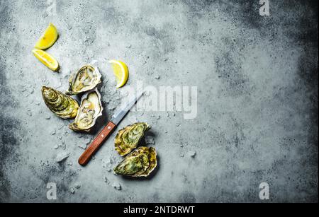 Frische Austern auf Eis, Messer, Zitronensplitter. Rustikaler Steinhintergrund. Offene frische rohe Austern. Draufsicht. Speicherplatz kopieren. Austernbar. Meeresfrüchte. Austern Stockfoto