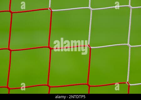 Nahaufnahme, Detail, Mesh, Goal net, FC Bayern München FCB rot und weiß, Rasen, Allianz Arena, München, Bayern, Deutschland Stockfoto