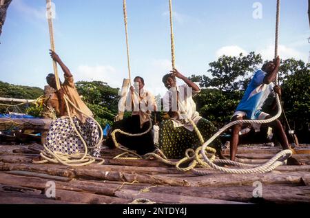 Betrieb der chinesischen Fischernetze Cheena vala in Fort Kochi Cochin, Kerala, Südindien, Indien, Asien Stockfoto