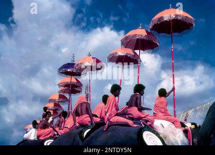 Farbenfrohe Aussicht auf die Thiruvembady Group in Pooram Festival in Thrissur Trichur, Kerala, Südindien, Indien, Asien Stockfoto