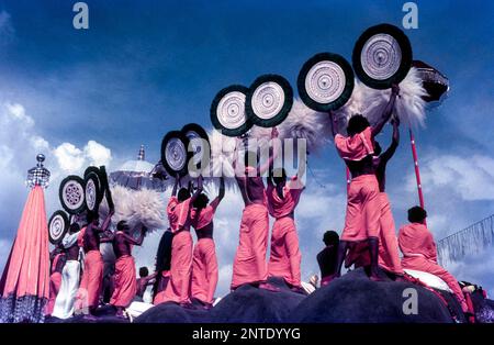 Farbenfrohe Aussicht auf die Thiruvembady Group in Pooram Festival in Thrissur Trichur, Kerala, Südindien, Indien, Asien Stockfoto