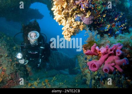 Rosafarbener Schlauchschwamm und Taucher, Baia Sardinien, rosafarbener Flaschenschwamm (Haliclona mediterranea), Europa, Mittelmeer, Italien Stockfoto