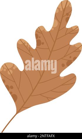 Trockenes Herbstblatt von Eichen-, Esche- und Birkenbäumen in verschiedenen Farben. Draufsicht auf das Baumblatt. Herbstlaub-Set in Gold, Rot, Braun und Grün. Flach Stock Vektor
