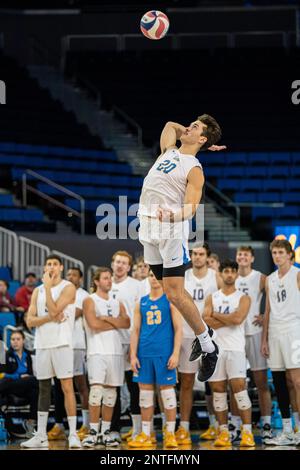 Der Outside-Hitter Ethan Champlin (20) der UCLA Bruins spielt während eines NCAA-Volleyballspiels gegen UCI-Ameisenbären am Samstag, den 26. Februar 2023, im Pauley Pav Stockfoto