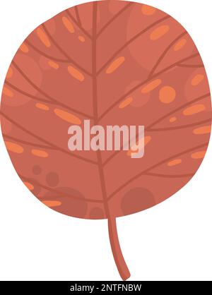 Trockenes Herbstblatt von Eichen-, Esche- und Birkenbäumen in verschiedenen Farben. Draufsicht auf das Baumblatt. Herbstlaub-Set in Gold, Rot, Braun und Grün. Flach Stock Vektor