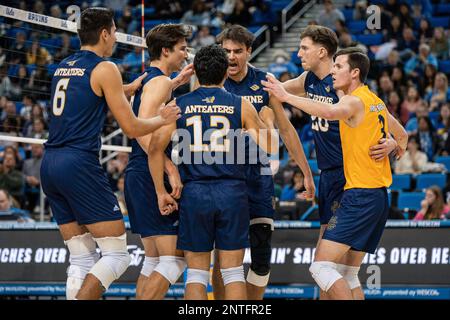 UCI Ameisenbären feiern während eines NCAA-Volleyballspiels gegen UCLA Bruins am Samstag, den 26. Februar 2023, im Pauley Pavilion, In Westwood, Kalifornien. Der Brui Stockfoto