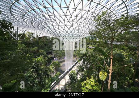 Der weltweit höchste Hallenwasserfall, der durch einen oculus auf dem Dach der unverwechselbaren Glas- und Stahlfassade von Jewel stürzt, Changi Airport Stockfoto