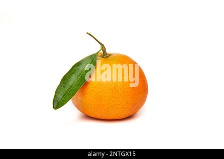 Frische Mandarine mit grünen Blättern auf weißem Hintergrund Stockfoto