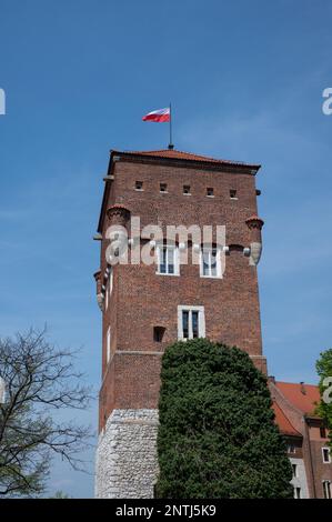 Senatorska Tower (Senatorenresidenz) im Krakauer Wawel Hill Royal Castle Complex. UNESCO-Weltkulturerbe in Krakau Stockfoto