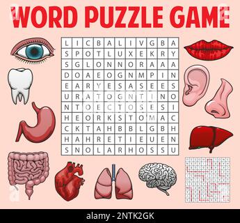 Menschliche Organe und Körperteile. Wortspiel-Arbeitsblatt für Puzzle-Spiele. Quizraster, intellektuelles Spiel oder Vektortext-Puzzle mit Lippen, Dickdarm und Lunge, Leber, Gehirn und Ohr, Auge, Nase und Bauch, Herz, Zahn Stock Vektor