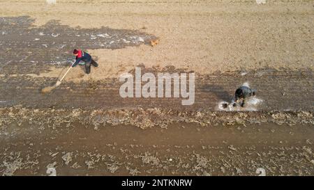 BINZHOU, CHINA - 28. FEBRUAR 2023 - Landwirte bewässern ihr Land mit Wasser in Huimin County, Binzhou City, Shandong Province, China, Februar 28, 2023. Stockfoto