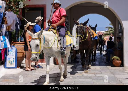 Oia, Santorin, Griechenland - 3. Juli 2021: Esel auf den Straßen von Oia auf der Insel Santorin. Griechenland Stockfoto