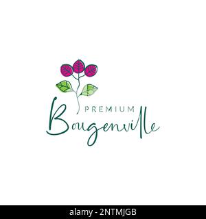Pflanzenblumenblüte Bougainvillea Duft farbenfrohe Gartengestaltung Logo Vektorsymbol Illustration Stock Vektor