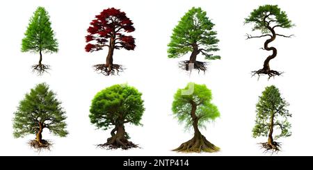 Baumsammlung, ein Set wunderschöner Pflanzen mit Wurzeln Stockfoto