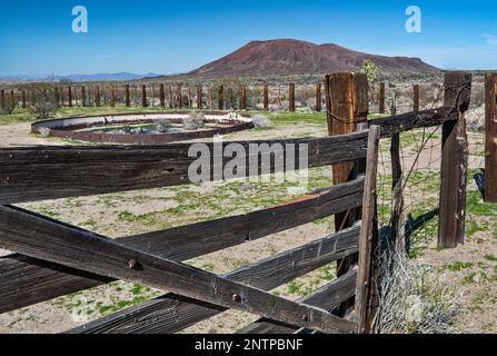 Wassertank, Zaun, Ascherkegel in der Ferne, Aikens Mine Road, Cinder Cones Lava Beds, Mojave Desert, Mojave National Preserve, Kalifornien, USA Stockfoto