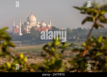 Taj Mahal, UNESCO-Weltkulturerbe, Agra, Uttar Pradesh, Indien Stockfoto