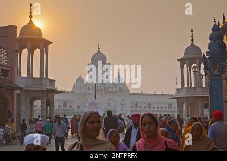 Eingangstor zum Goldenen Tempel-Komplex, Amritsar, Punjab, Indien Stockfoto