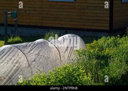 Kleines Gewächshaus im Garten des Dorfes, im Frühling Stockfoto