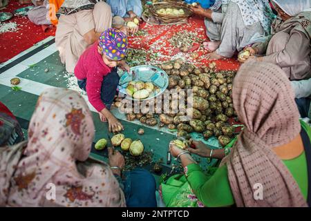 Freiwillige Vorbereitung Kartoffeln kochen, Mahlzeiten für die Pilger, die den goldenen Tempel jeden Tag besuchen, sie dienen kostenlose Nahrungsmittel für 60.000 - 80,00 Stockfoto