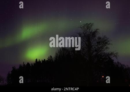 Hagebyhöga, Schweden. 27., Februar 2023. Saisonales Wetter, Nordlichter in der Nacht bis Dienstag im Östergötland County, Schweden. Eine aurora (Auroras oder Aurorae), auch bekannt als Polarlichter, ist eine natürliche Lichtanzeige am Himmel der Erde, die hauptsächlich in Regionen mit hohem Breitengrad zu sehen ist. Kredit: Jeppe Gustafsson/Alamy Live News Stockfoto