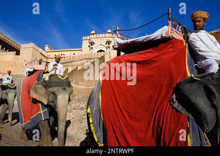 Elefanten in Amber Fort Amber, Rajasthan, Indien Stockfoto