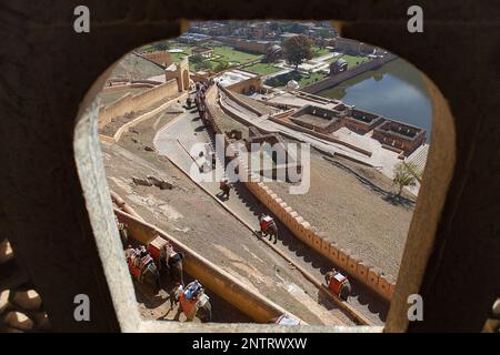 Touristen, die Reiten Elefanten bis zu Amber Fort, Amber, Rajasthan, Indien Stockfoto