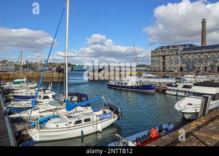 Der Yachthafen am Becken im Royal William Yard in Stonehouse Plymouth. . Ehemaliger MOD-Glaswerfplatz wird von Urban Splash in Housin entwickelt Stockfoto