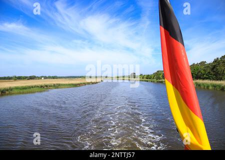 Bootsfahrt auf dem Prerow-Strom in Prerow auf der Halbinsel Fischland-Darss-Zingst und fliegende Kranvögel mecklenburg-vorpommern, ostsee - Deutschland Stockfoto