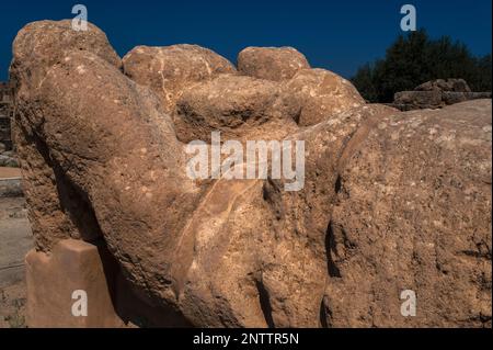 Atlas macht eine Pause vom Halten des Himmels und legt sich vor den Tempel des Olympischen Zeus im Tal der Tempel, dem Ort des antiken griechischen Akragas in Agrigento, Sizilien, Italien. Die 8m cm lange Figur ist eine Nachbildung der 38 Säulen, die erbaut wurden, um das schwere Dach des Tempels zu stützen, der um 480 v. Chr. gegründet wurde und eines der größten dorischen Bauwerke der Welt ist. Stockfoto