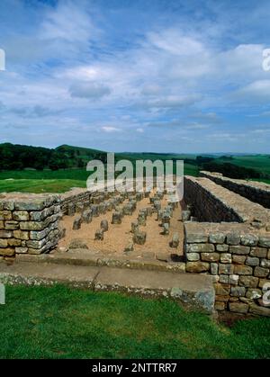 The N Granary in Housesteads Roman Fort, Hadrian's Wall, Northumberland, England, Großbritannien, Zeigt Bodenstützen und Stufen der Laderampe am W-Ende Stockfoto