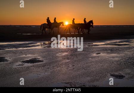 Ausritt bei Sonnenuntergang am Strand Los Lances, Tarifa, Provinz Cadiz, Andalusien, Spanien Stockfoto