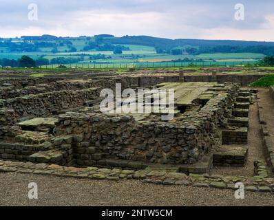 Hinter dem W-Granary in Corbridge Roman Town, Northumberland, England, Großbritannien, mit Blick auf die Säulen des Portikus neben der Stanegate Roman Road. Stockfoto