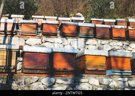 Sommeransicht der ländlichen Imkerei und Honigproduktion auf der Balkanhalbinsel, Bienenstockkolonie, Bienenstockschwarm auf dem Land, mehrfarbig Stockfoto