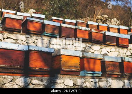 Sommeransicht der ländlichen Imkerei und Honigproduktion auf der Balkanhalbinsel, Bienenstockkolonie, Bienenstockschwarm auf dem Land, mehrfarbig Stockfoto