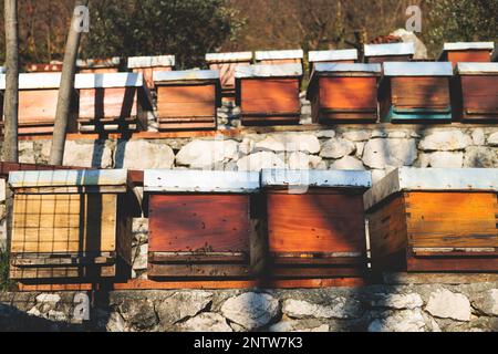 Sommeransicht der ländlichen Imkerei und Honigproduktion auf der Balkanhalbinsel, Bienenstockkolonie, Bienenstockschwarm auf dem Land, mehrfarbig Stockfoto