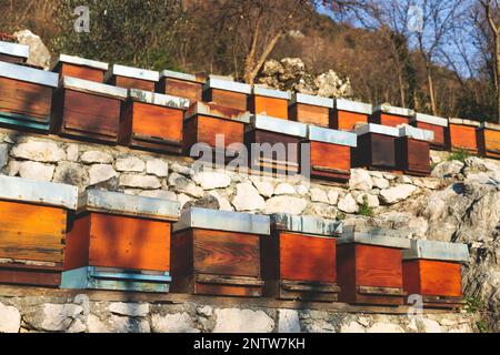 Sommeransicht der ländlichen Imkerei und Honigproduktion auf der Balkanhalbinsel, Bienenstockkolonie, Bienenstockschwarm auf dem Land, mehrfarbig Stockfoto
